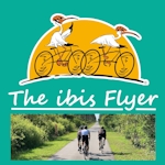 ibis Flyer cover photo reduced